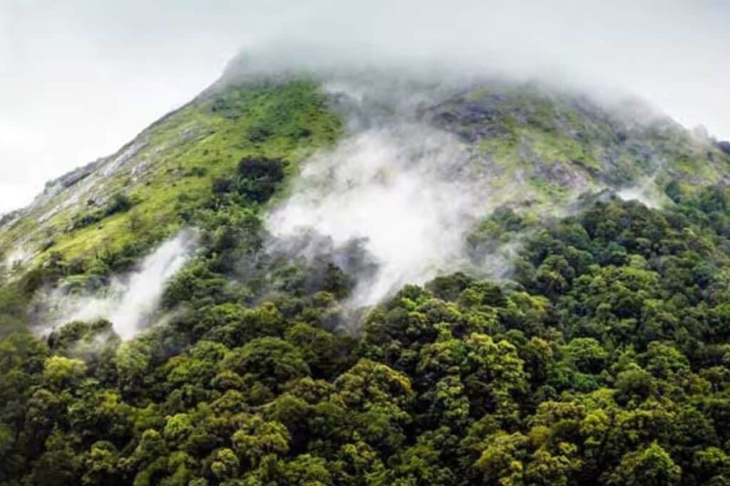 This Kerala Hill Station Is Known As Poor Man’s Ooty