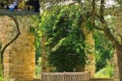 In Andhra Pradesh’s Srikakulam, Park Dedicated To Freedom Fighters Now Open To Public