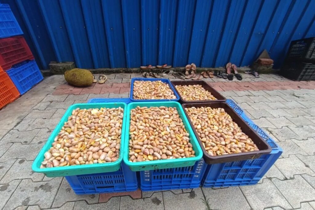 How Jackfruit Seeds Became A Lucrative Business For This Karnataka Man