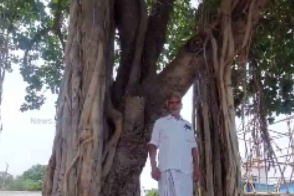 Meet Abu Baker, The 62-year-old 'Guardian' Of Madurai's 105-year-old Banyan Tree