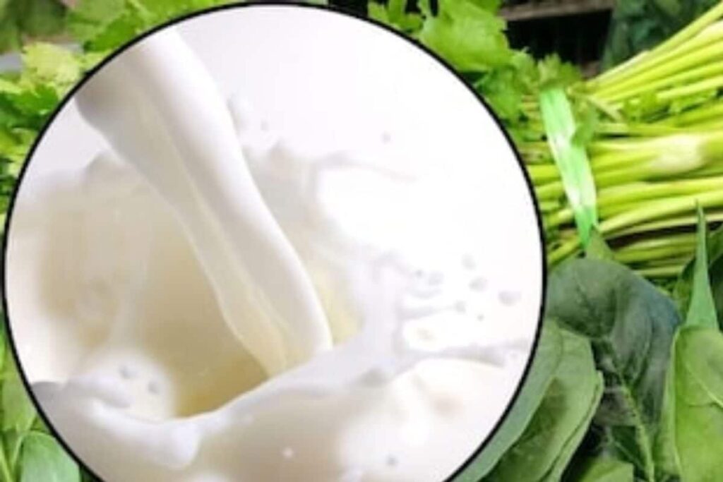 Onion To Milk, Foods Devotees Should Avoid During Sawan Month