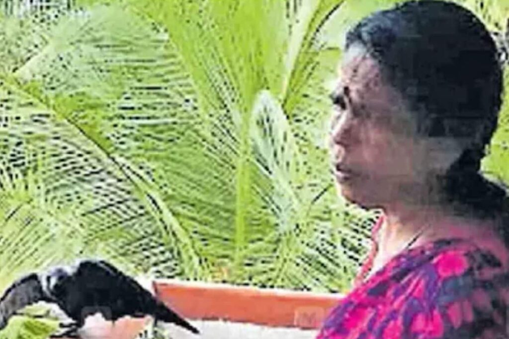This Kerala Woman Takes Care Of Crows Like Her Children