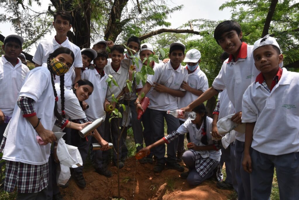 Project One Tree: All You Need to Know About Van Mahotsav