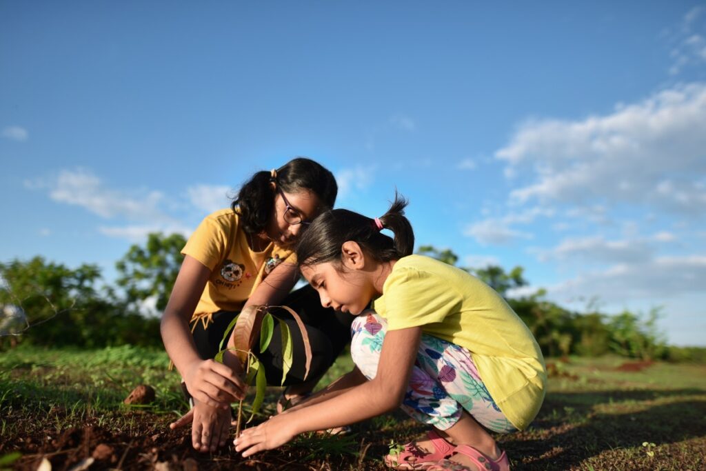 Project One Tree: Dos And Don’ts of Successful Tree Planting