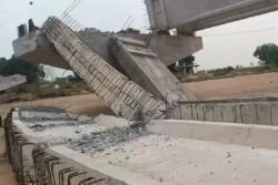 'Engineers, Contractors Not Diligent....': Bihar Official Points Out Lapses After 12 Bridges Collapse In State
