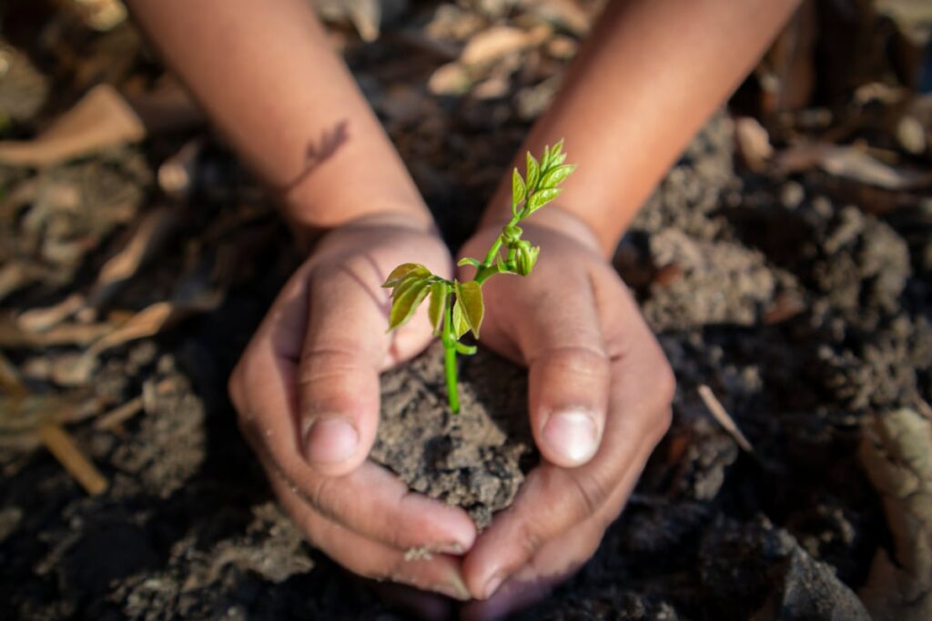 The Future is in Our Hands. Let’s Make It Sustainable