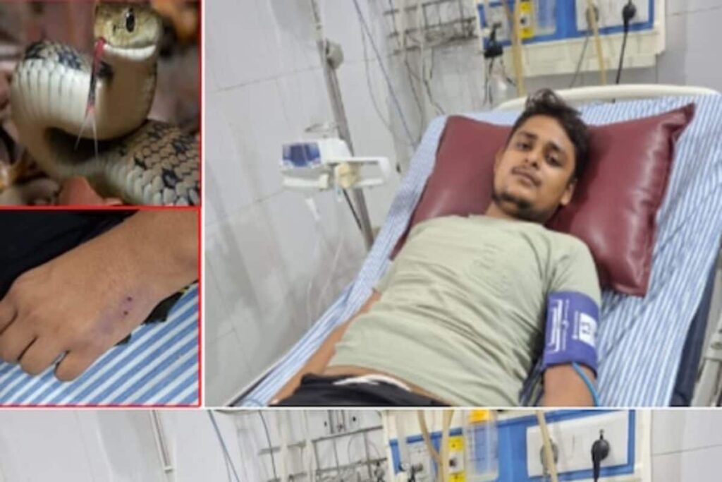 UP Man Bitten By Same Snake In Seven Times Or Phobia? The Truth Behind ‘Hiss’ Story