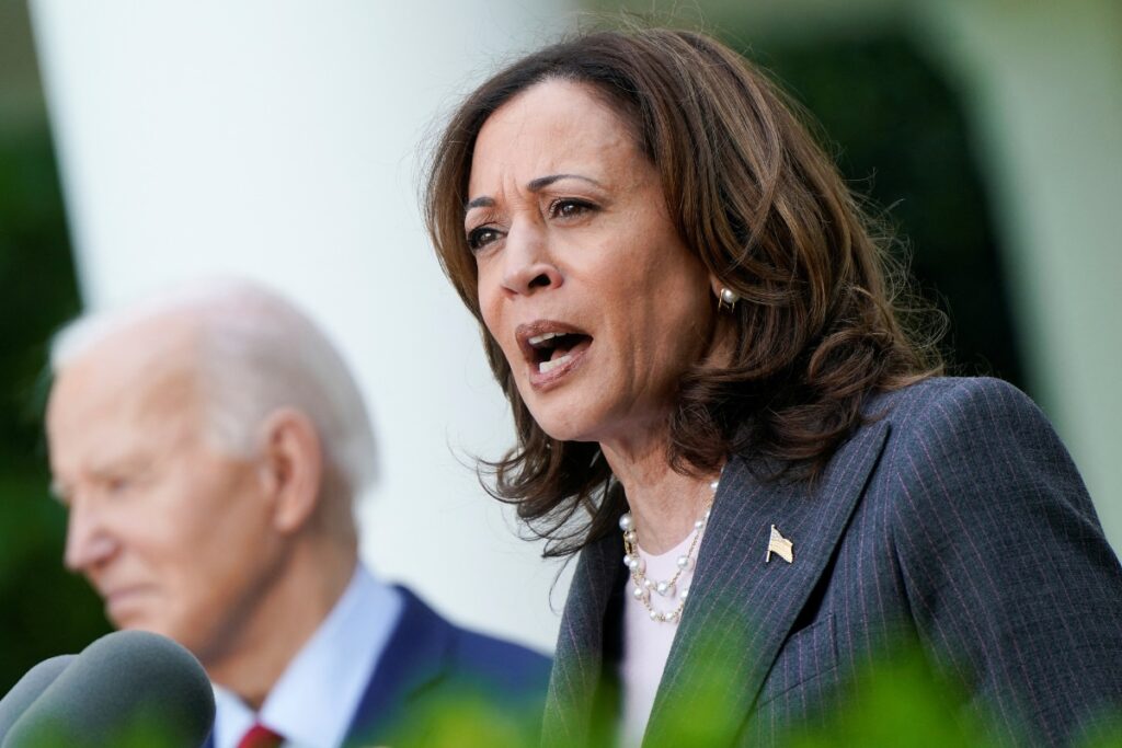 Biden Picked Kamala Harris as 'Insurance Policy': Trump Attacks Indian-American US Vice President