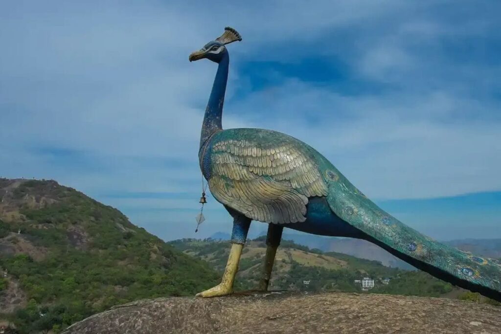 In Kerala's Vagamon, Jeep Rides To Murugan Mala Resume For Devotees