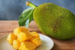 This Uttara Kannada Jackfruit Recipe Is Considered Alternative To Chocolate For Kids