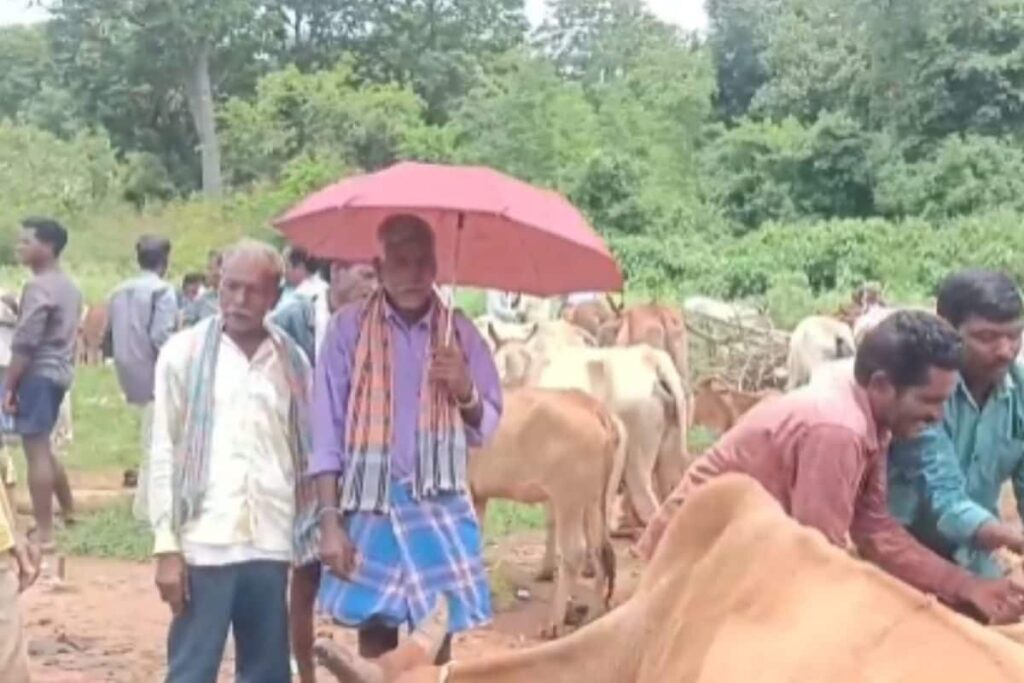 In Andhra Pradesh’s Lothugedda, Weekly Santha Markets Serve As Trading Hubs For Multiple Villages