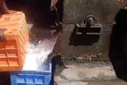 Here's Why Ice Cube Production Is A Highly Profitable Business In This Small Town Of Tamil Nadu