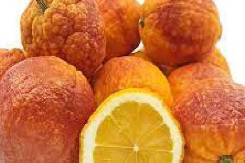 Meet The Bengal Man Who Cultivates A Rare Kind Of Lemons