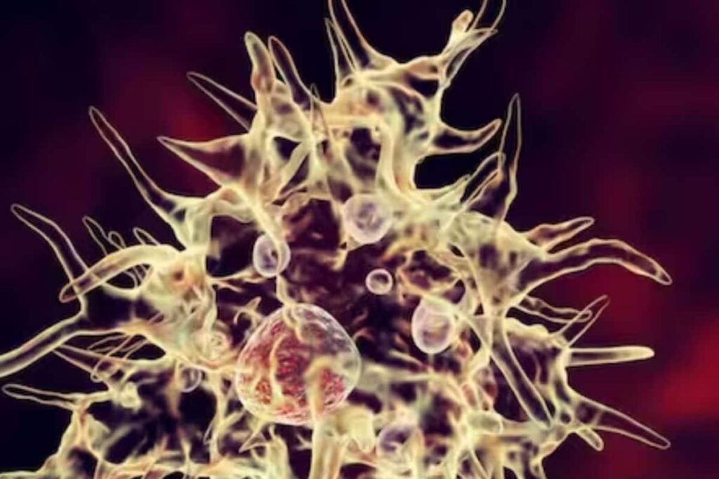 Medicine Brought From Germany To Combat Amoebic Encephalitis Epidemic In Kerala’s Kozhikode