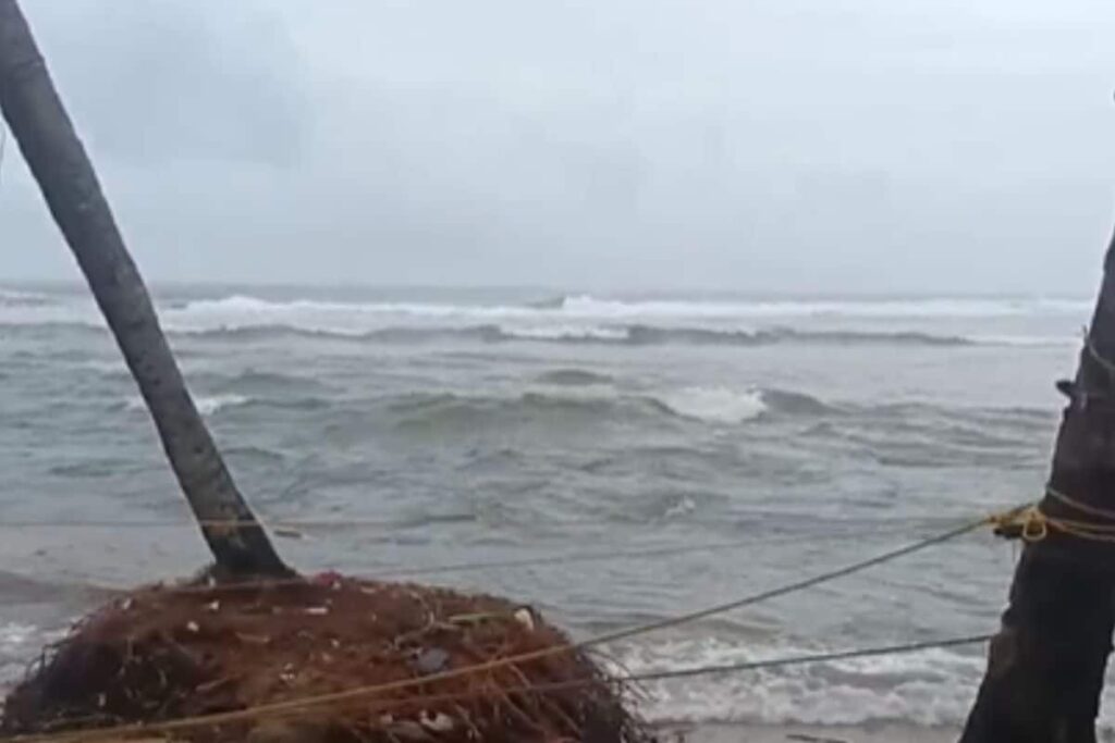 Why Kerala's Veli Tourism Village Should Be On Your South India Travel List