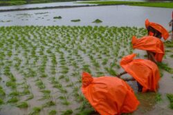 Warmest June In 123 Years, But Good News On Monsoon Front For Farmers In July