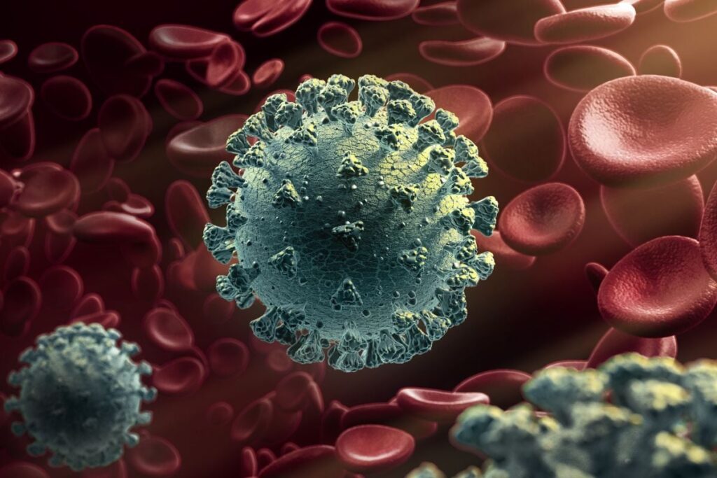 Kerala Govt Confirms Nipah Infection In 14-year-old Boy, High-risk Contacts Isolated