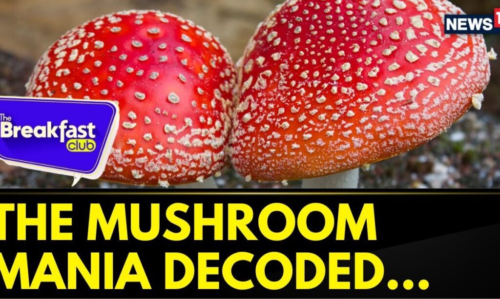 Dive Deep & Explore India's Fungal Diversity With Malavika's Mushroom Mission In New Delhi | News18