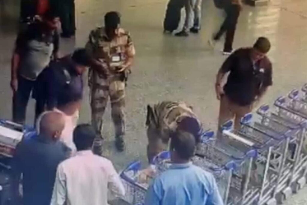 CISF Personnel's Quick Response Saves Passenger's Life After Cardiac Arrest At Delhi Airport | On Cam