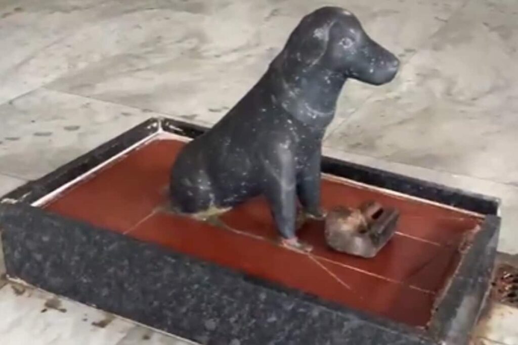 Unique Temple in UP Village Worships Dogs: A Tale of Loyalty and Belief