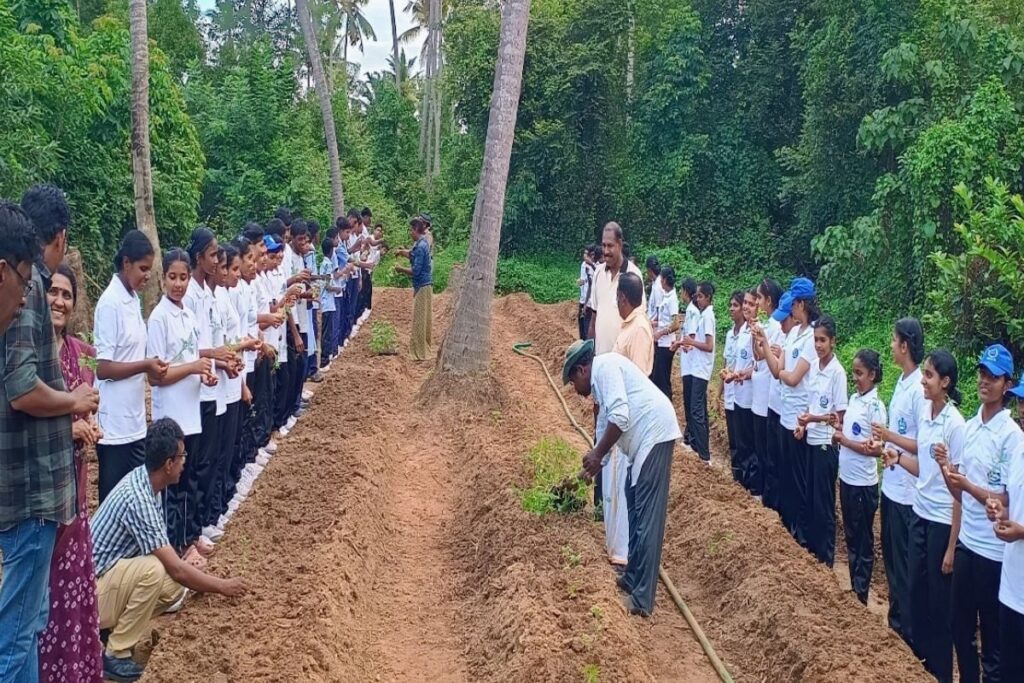 Ahead Of Onam, Kerala Locals Decide To Harvest Flowers Instead Of Buying Them