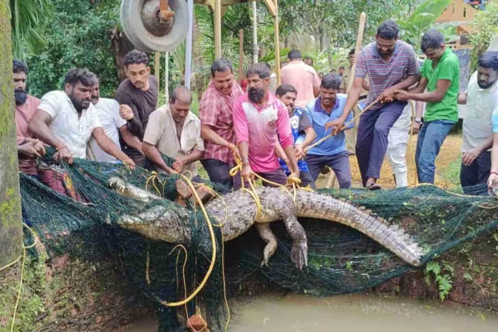 In Udupi, Locals And Officials Join Forces To Rescue Crocodile From Well
