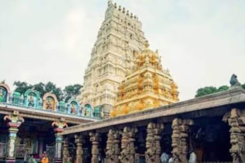 Here's Why Rudravanam Park In Andhra Pradesh's Srisailam Is a Hit Among Tourists And Locals