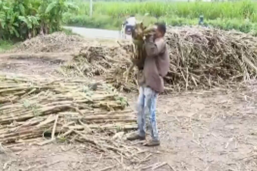 How Mandya’s Traditional Jaggery Combats Anaemia And Boosts Health