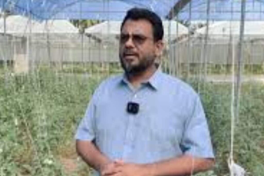 In Tamil Nadu, Corporate Worker Turns To Polyhouse Farming For High-yield Tomato Cultivation