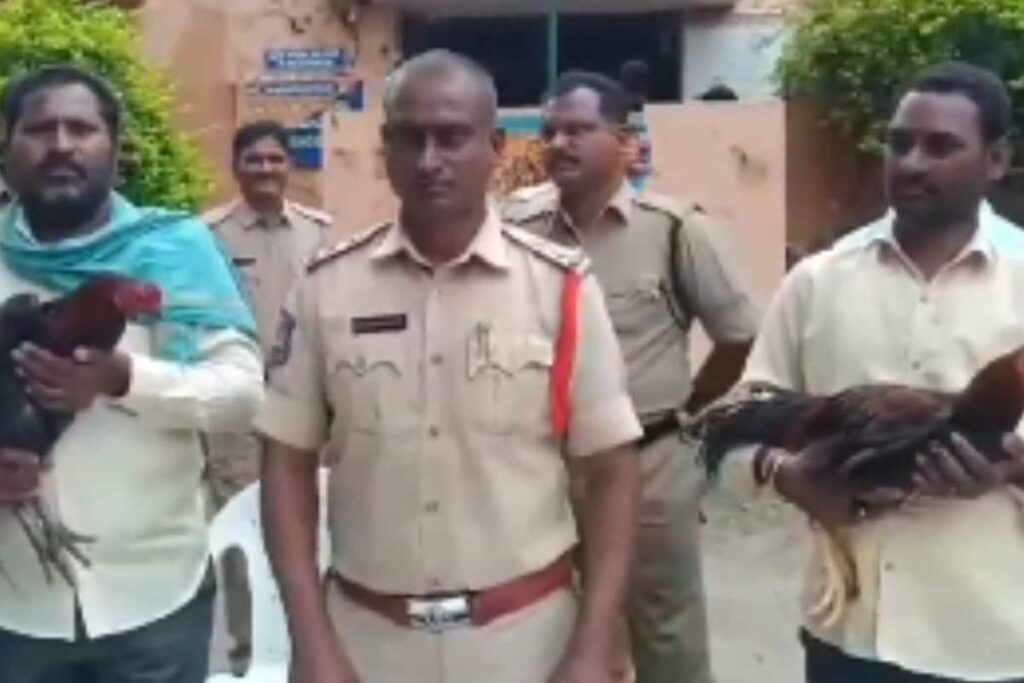 In Telangana's Peddapalli, Police Put Up Two Roosters For Auction