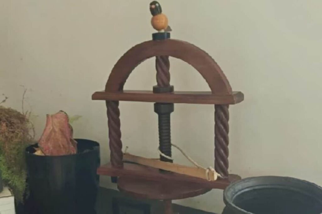 Coimbatore Woman, Who Studied Architecture, Launches Traditional Butter Churner