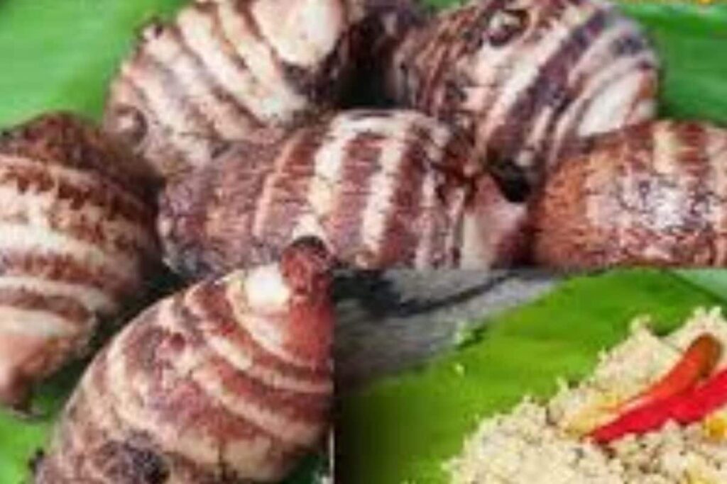 Step-by-step Guide To Making Gathi Kachur Paturi: A Must-try Monsoon Recipe