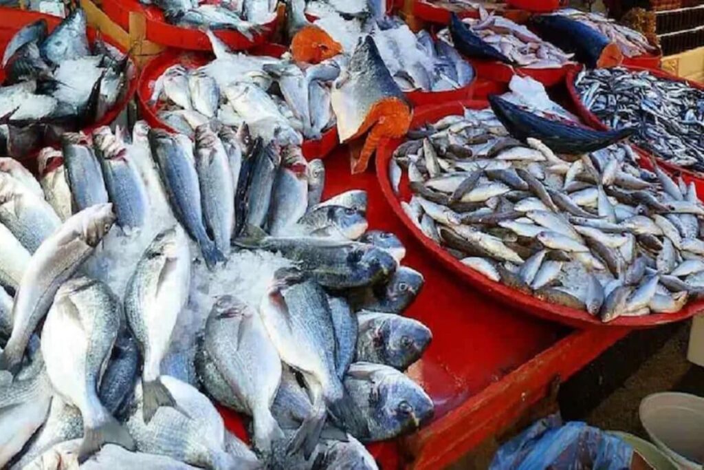 6 Fish To Avoid Eating As They Contain Harmful Substances