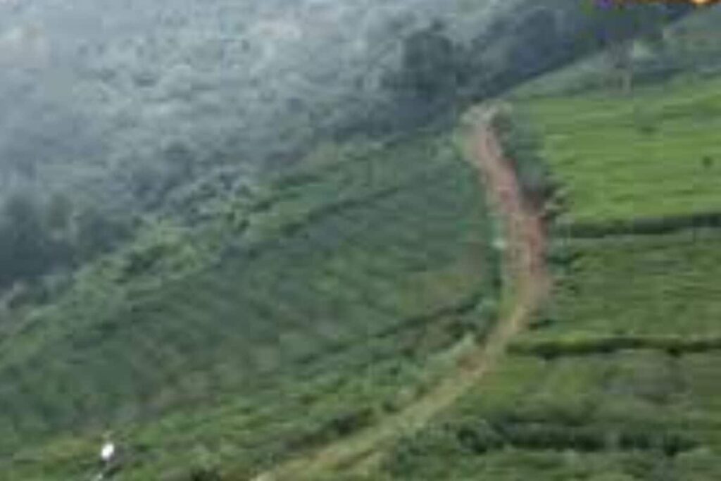 In This Tamil Nadu Village, Toda Tribe Struggles To Survive Amid Harsh Conditions