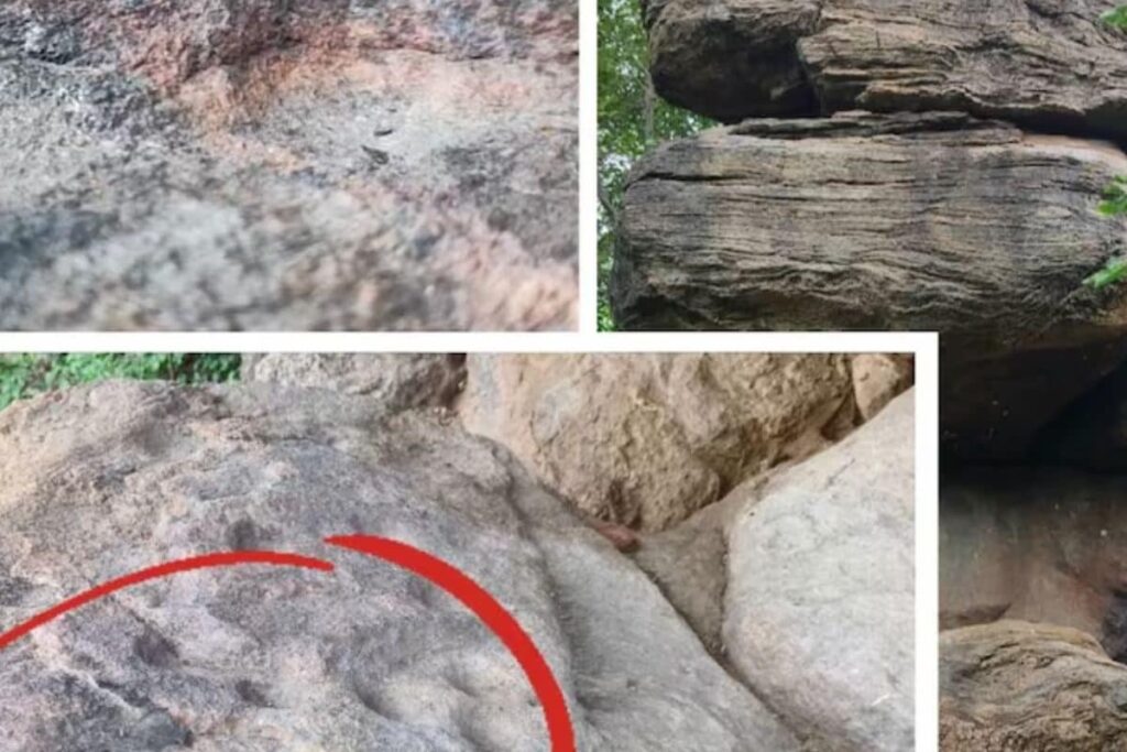 Archaeologists Discover 4000-year-old Ancient Stone Cupules In Tamil Nadu's Dindigul