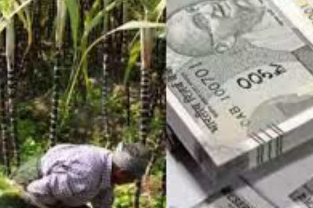 In Telangana’s Zaheerabad, Sugarcane A Lifeline To Farmers For 50 Years