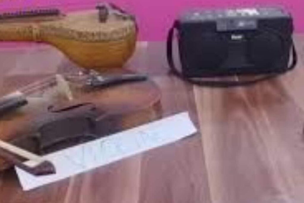 Puducherry Education Dept Starts Music Scheme In Government Schools