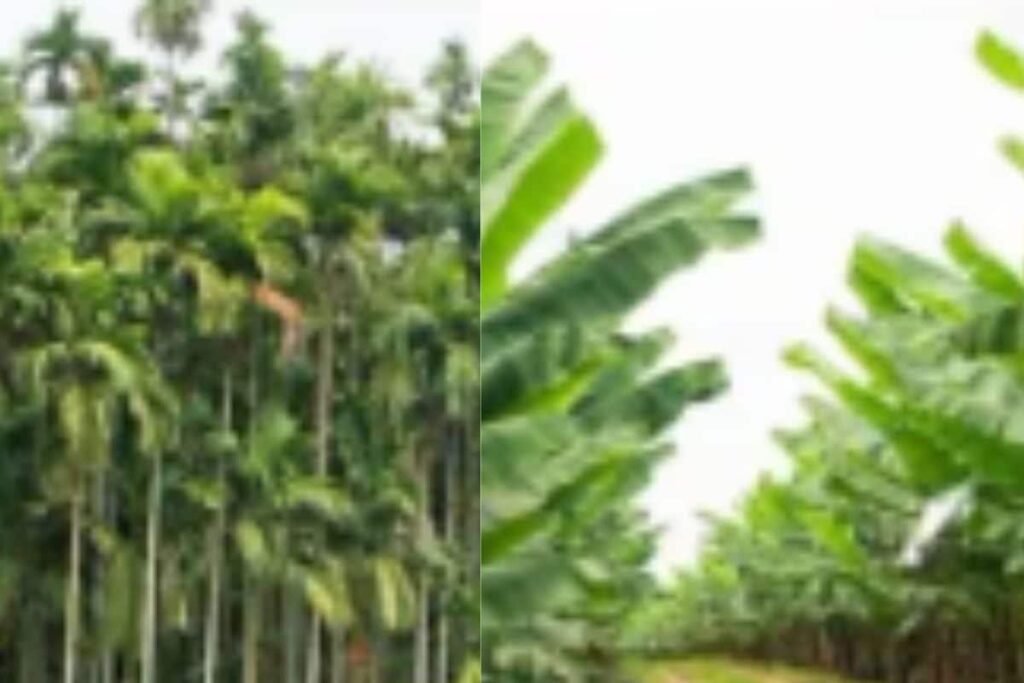 This Organisation In Karnataka Is Helping Landowners Set Up Their Farm