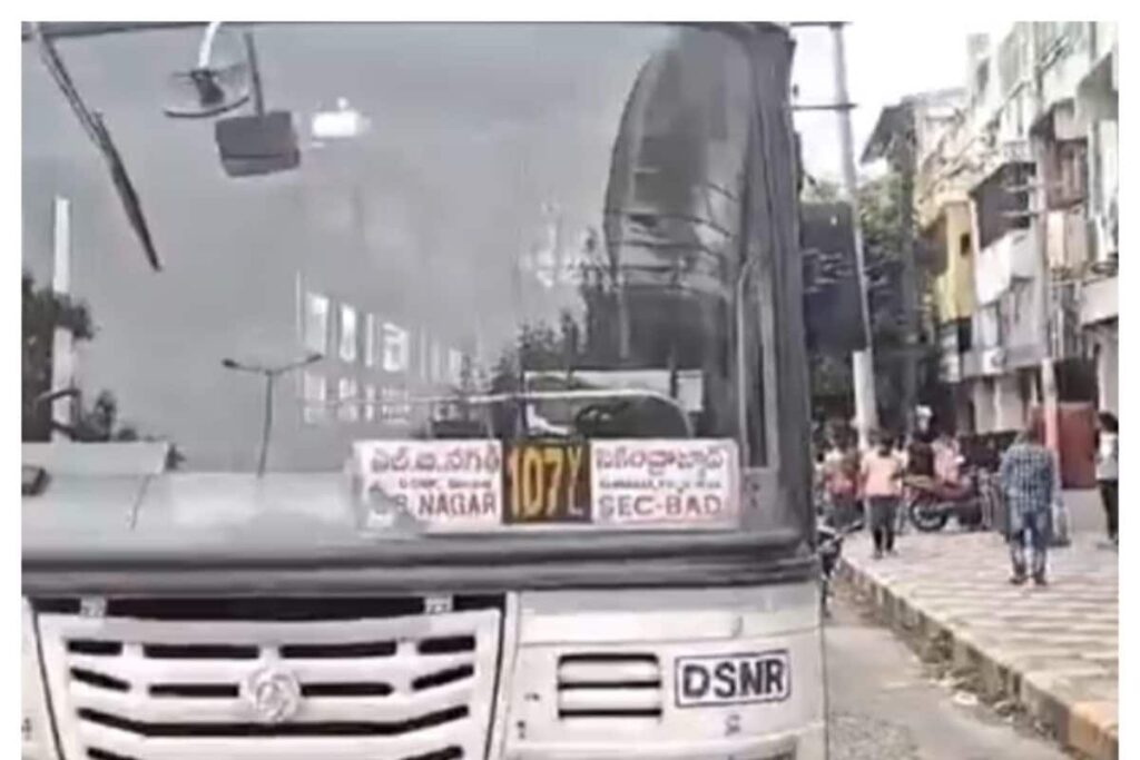 Hyderabad Woman Throws Snake At Bus Driver, Smashes Vehicle's Mirror With Bottle