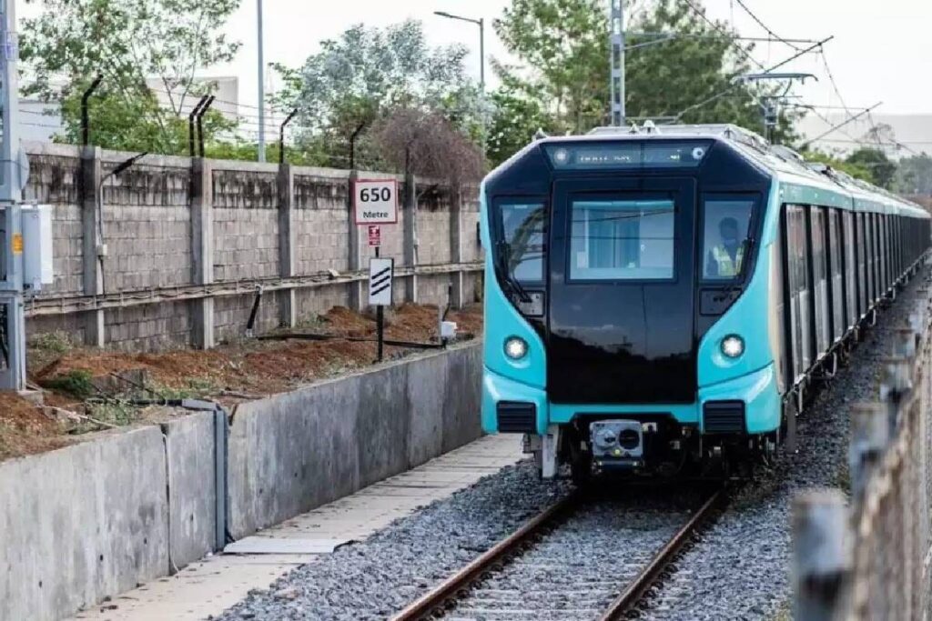 Mumbai Metro Body Spent Rs 2 Lakh On Each Tree, RTI Query Reveals