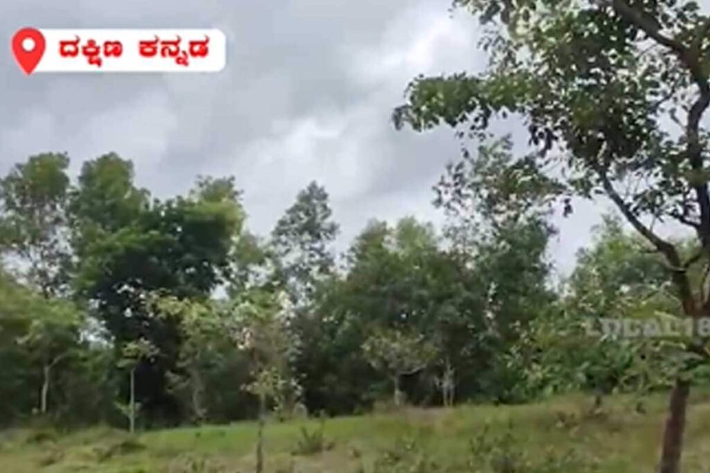 Andhra Farmer Shares His Journey Of Cultivating Dragon Fruit In 6-acre Land