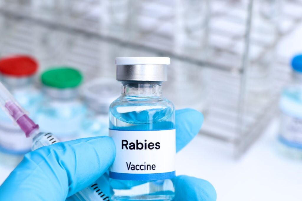 To Cut Rabies Deaths, Govt Panel Evaluating Use Of Antibody Shots After Dog Bites