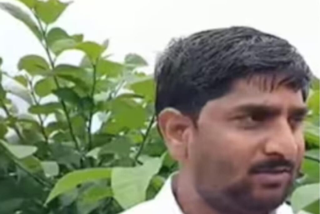 Solapur Farmer Earns In Lakhs From Golden Custard Apple Cultivation