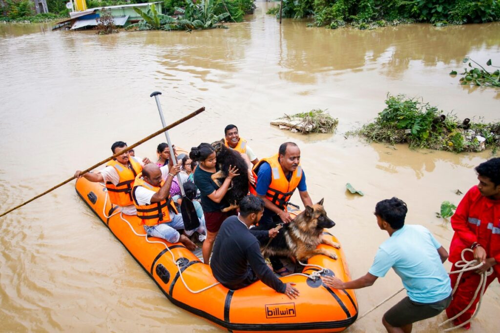 Tripura: 7 Of Two Families Killed In Landslides Due To Heavy Rain, Death Toll Rises To 20