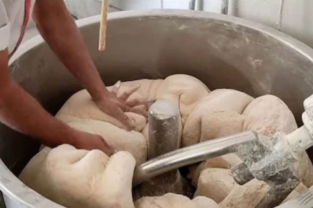 Teenage Girl Dies After Getting Stuck in Dough Kneading Machine in Delhi's Rohini Area