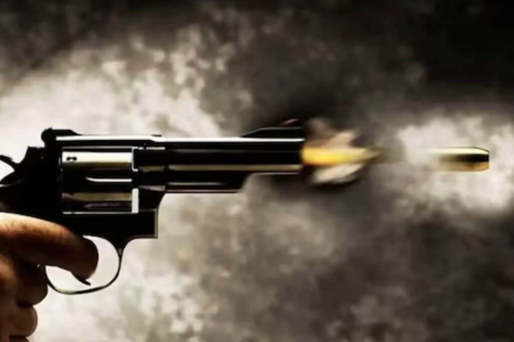 'I Want to be...': 5-Year-Old Brings Gun to Bihar School, His Reply Stuns Police Officials