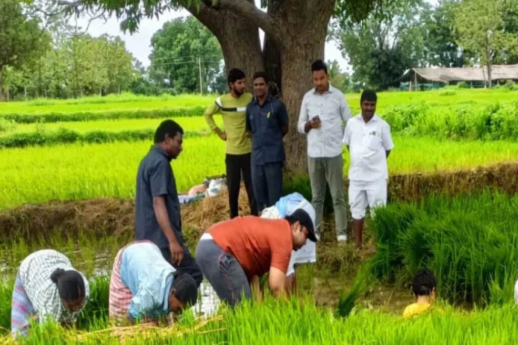 Telangana Collector Rahul Raj Promotes Paddy Farming With Hands-on Planting