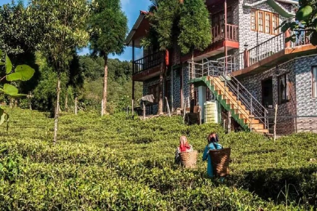 Why You Must Visit This Off-beat Destination In Bengal During Durga Puja Holidays