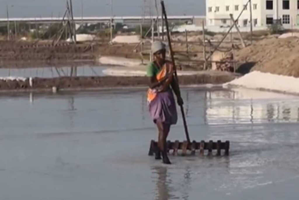 How Salt Is Manufactured In Tamil Nadu's Thoothukudi