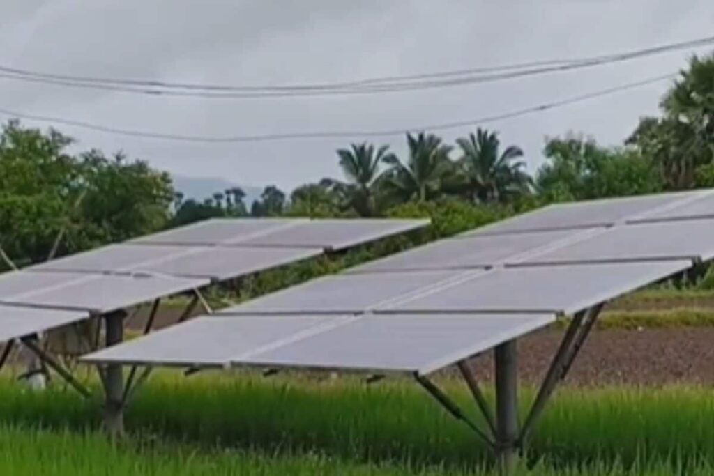 Why Farmers In Andhra’s West Godavari Are Relying More On Solar-powered Water Pumps
